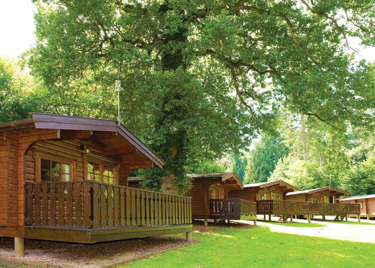 Hôtel Whitemead Forest Park à Parkend Extérieur photo